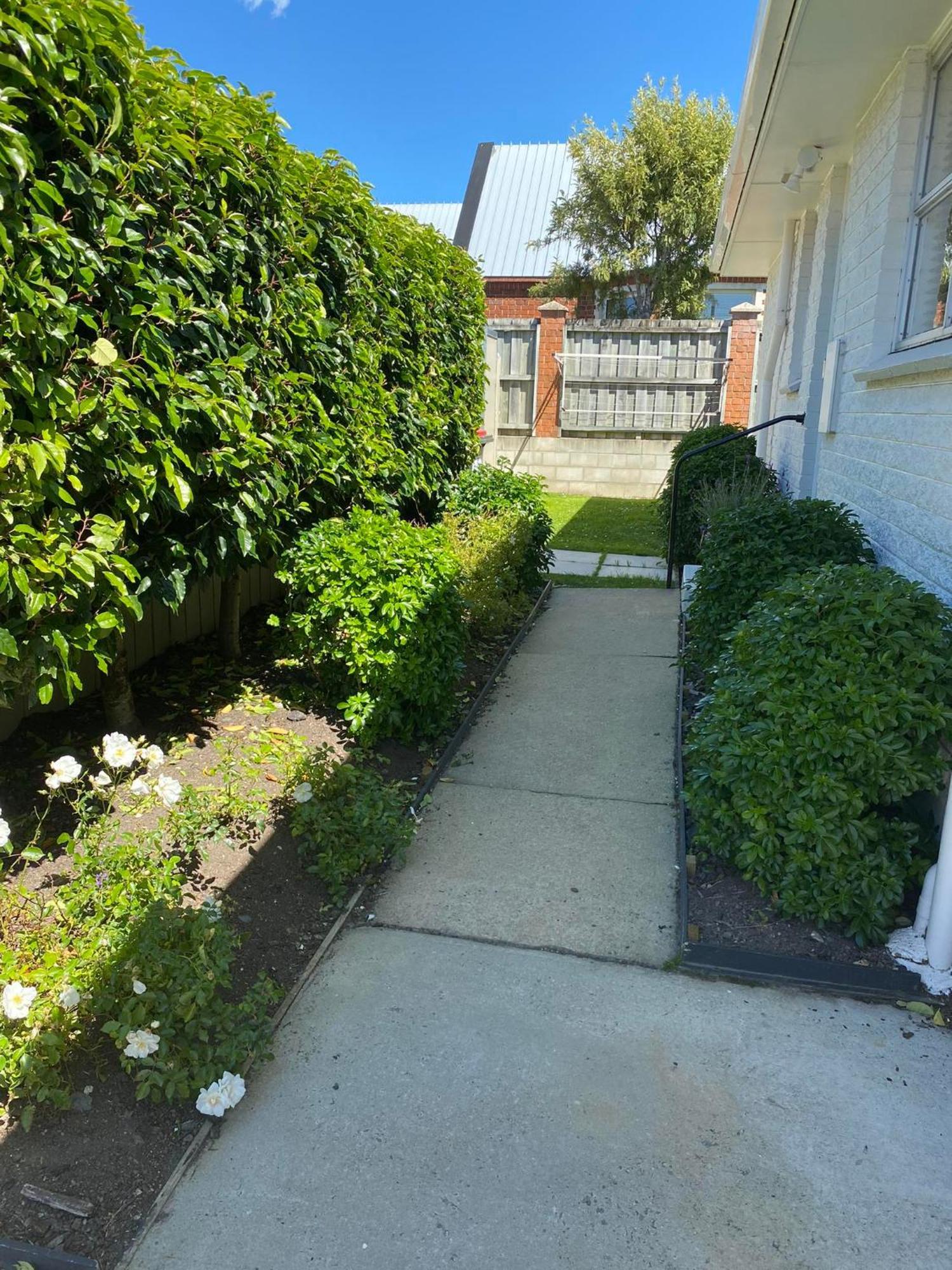 253 On Highgate Apartman Dunedin Kültér fotó